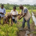 Collaborative Crop Field Assessment