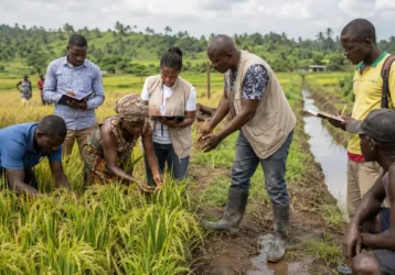 Collaborative Crop Field Assessment